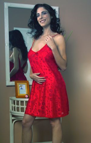 6002 Clipped-Chiffon Chemise