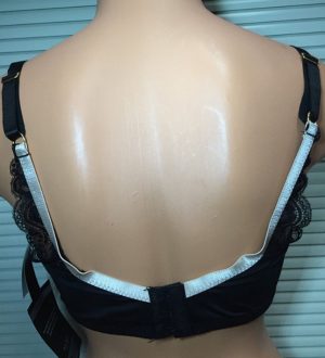 2686 Microfiber Bra with Lace Neckline Insert - Image 3