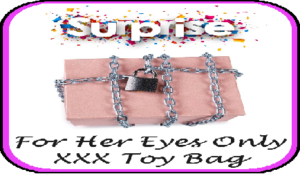 $90 Mystery Toy Bag